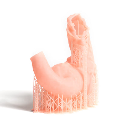 Resina Prusa Prusament Resin Flex Gingiva Mask 1kg