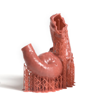 Resina Prusa Prusament Resin Flex Anatomic Red 1kg