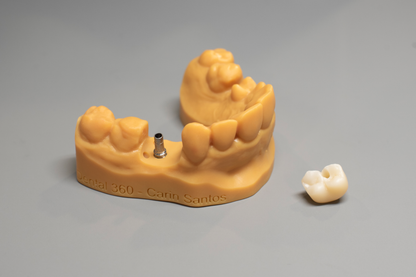 Resina Prusa Prusament Resin Model+