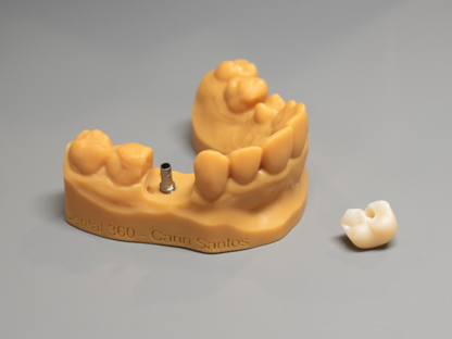 Resina Prusa Prusament Resin Model+