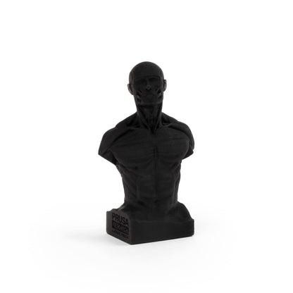 Resina Prusa Prusament Resin Basic Black 1kg